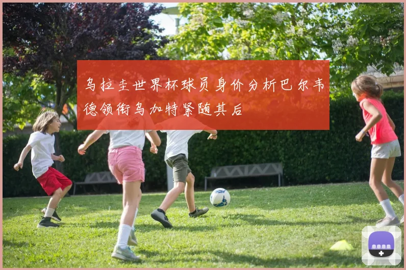 乌拉圭世界杯球员身价分析巴尔韦德领衔乌加特紧随其后