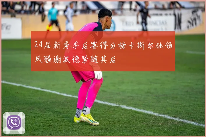 24届新秀季后赛得分榜卡斯尔独领风骚谢泼德紧随其后