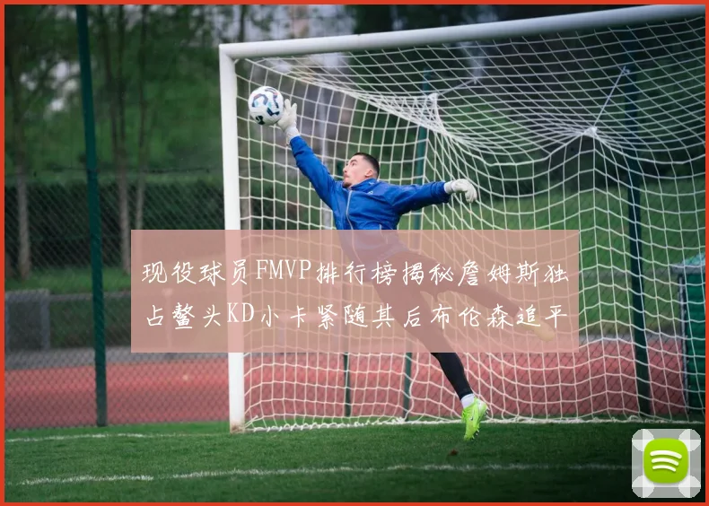 现役球员FMVP排行榜揭秘詹姆斯独占鳌头KD小卡紧随其后布伦森追平库里约基奇等