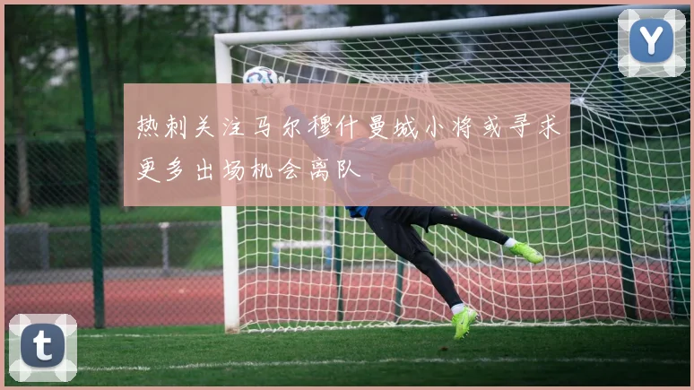 热刺关注马尔穆什曼城小将或寻求更多出场机会离队
